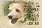 Preview: Nostalgieschild - Hundeschild im Retrostil Motiv: Parson Russell Terrier #2